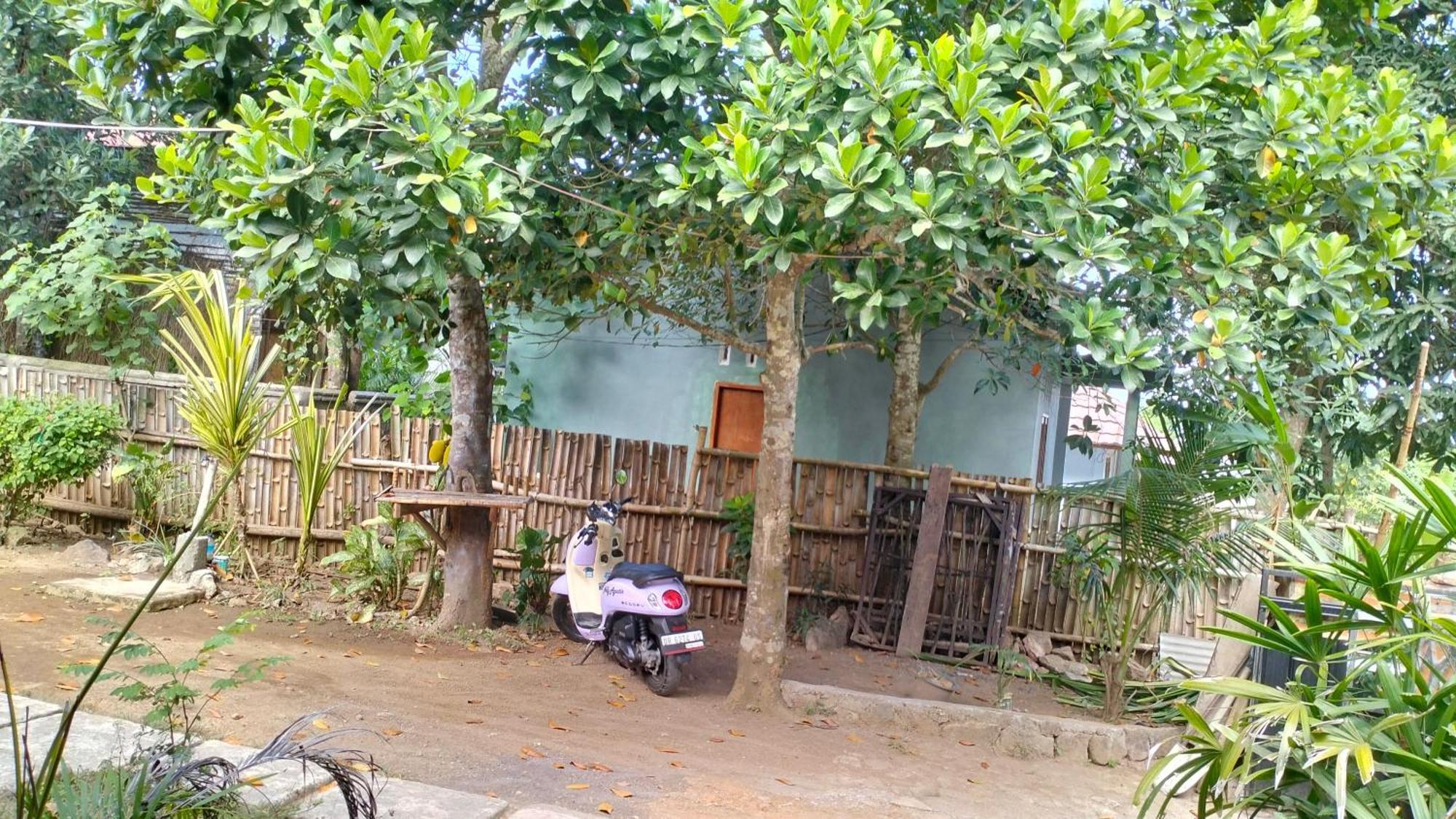 Palm Kuta Séjour chez l'habitant