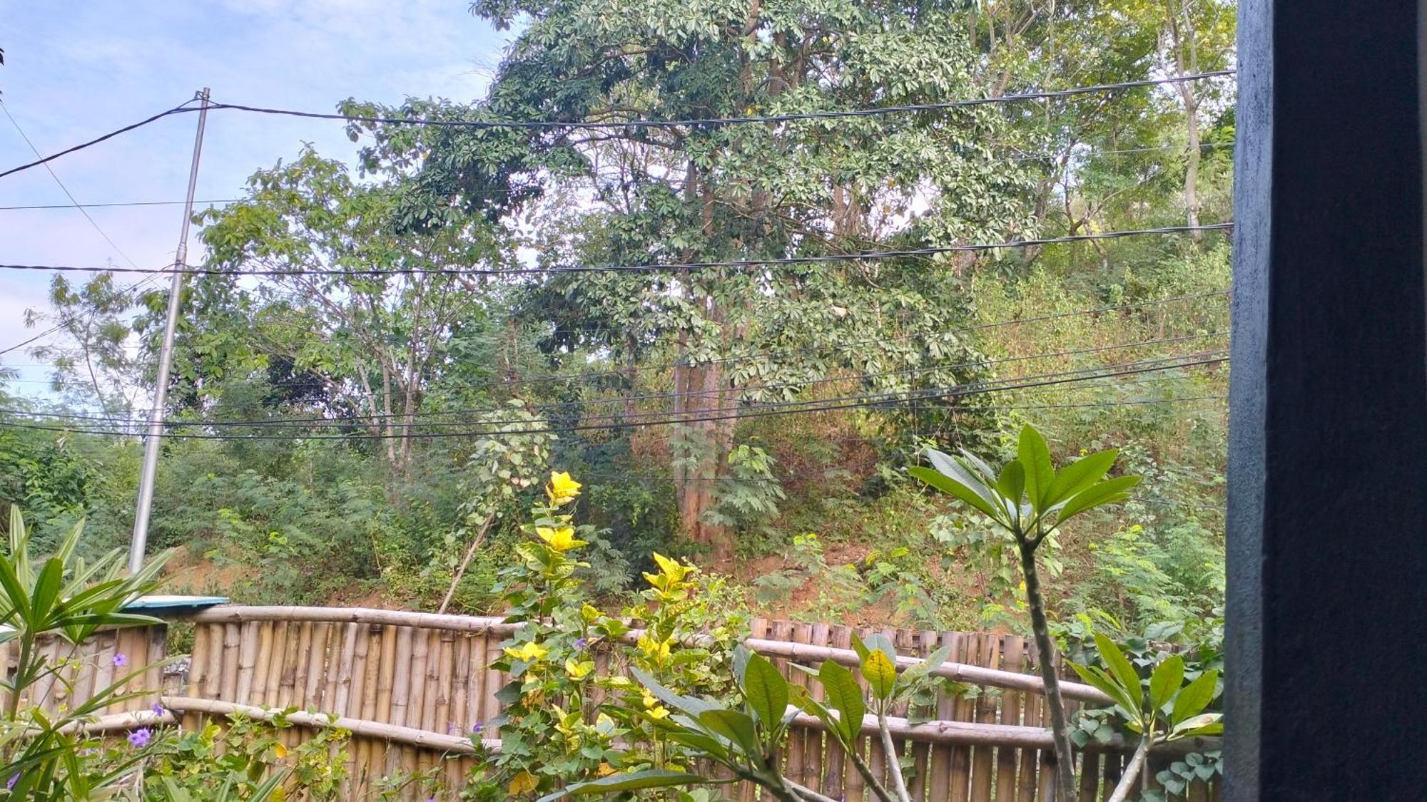 Séjour chez l'habitant Palm Kuta