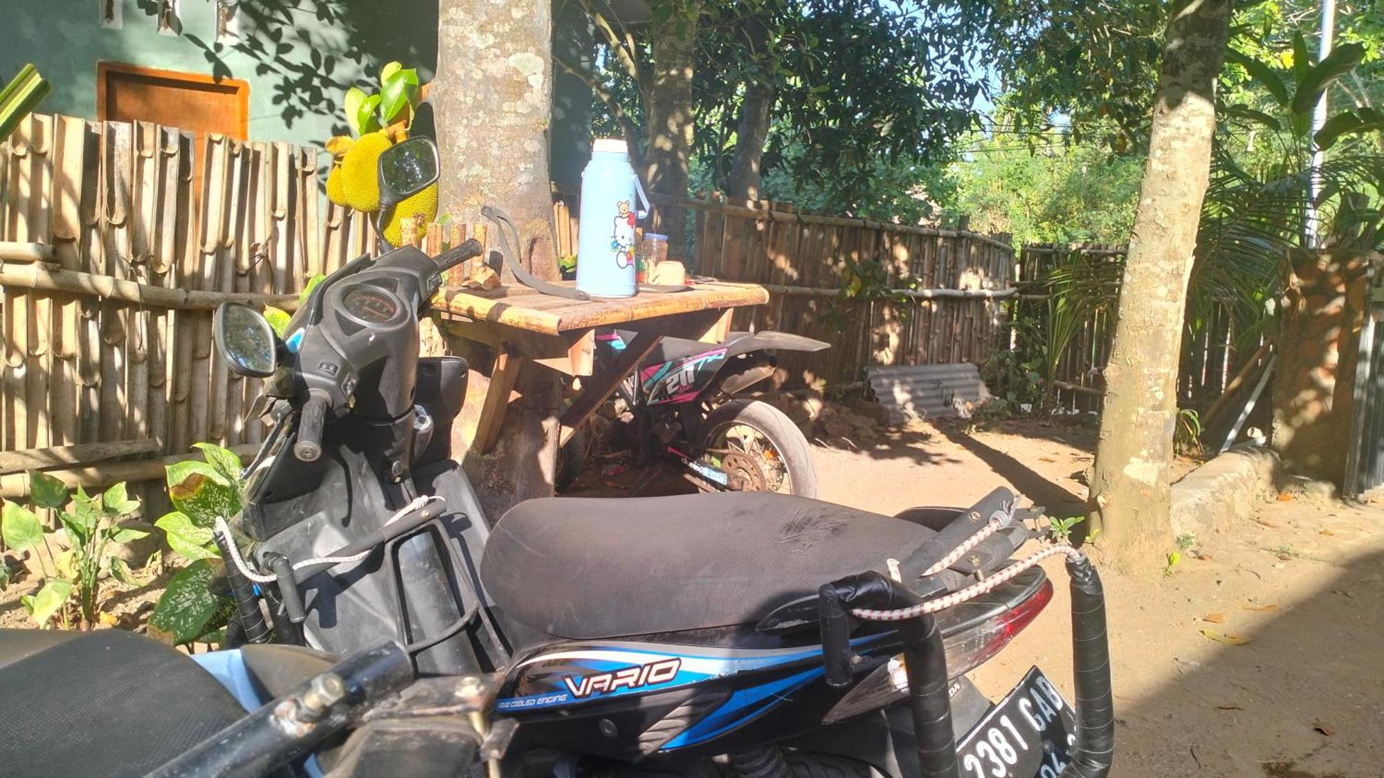 Palm Kuta